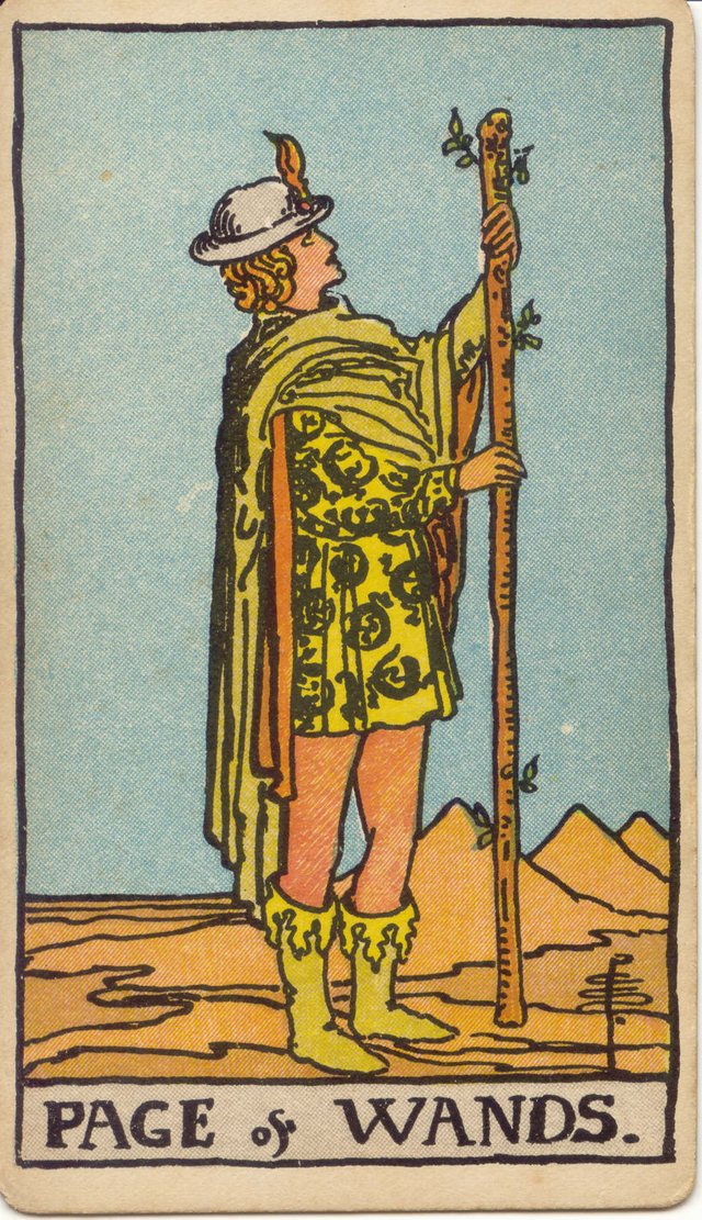 Page of Wands: The wand held upright, the plumed hat, the salamander tunic, the flame-topped boots. Rider–Waite–Smith tarot, 1909.